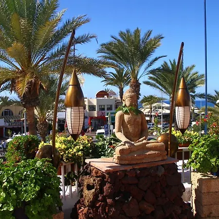 Apartament Playaflor Chill Out A 50 Mtrs De La Playa (adults Only)