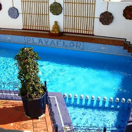 Lejlighed Playaflor Chill Out A 50 Mtrs De La Playa (adults Only) *